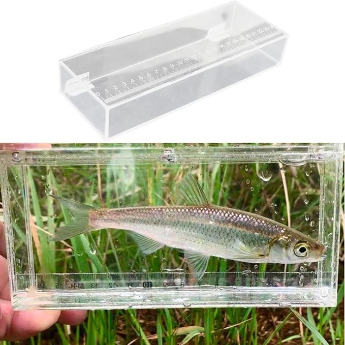 Aquarium Fish Isolation Box Portable Reusable Clear Acrylic Box with Scale Mini Aquariums Fish Breeding Tanks, 25x4.4x9cm