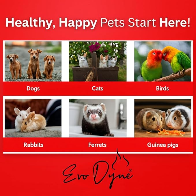 3-PK Styptic Powder for Dogs, Cats, and Birds (2 oz) by Evo Dyne | Fast-Acting Blood Stop Powder for Pets | Quick Stop Bleeding for Dog Nail Clipping, Grooming, Cuts and More (3-Pack)