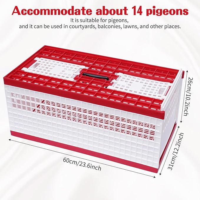 Racing Pigeon Carrier Box, 60 x 31 x 23 Cm Bird Training Basket Folding Pigeon Training Release Cage with 2 Side Doors + 2 Top Department