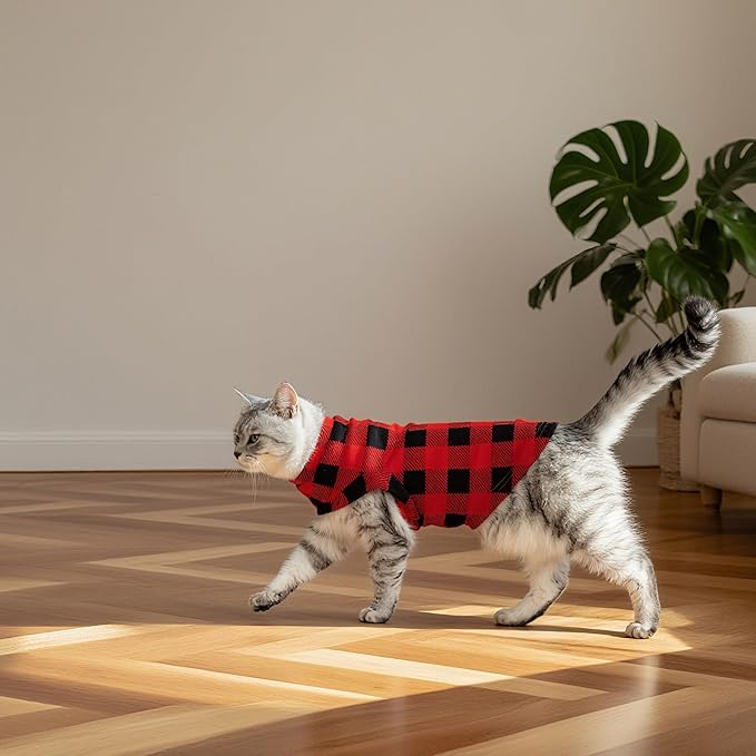 EXPAWLORER Soft Cat Sweater - Checked Sweaters for Cats Only Warm Kitten Clothes, Fall and Winter Pet Coat Pullover Design, Fleece Sweatshirt Clothing Also for Puppy Small Dogs, Small