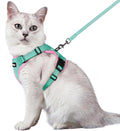 rabbitgoo Cat Harness and Leash for Walking, Escape Proof Soft Adjustable Vest Harnesses for Cats, Easy Control Breathable Reflective Strips Jacket, Green&Pink, XS