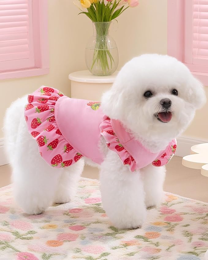 XPUDAC 4 Pack Dog Dresses Cute Printed Puppy Clothes for Small Dogs Girl Chihuahua Doggie Outfits Tank Top Vest Dresses Cat Apparel,Medium(Chest-17.6")