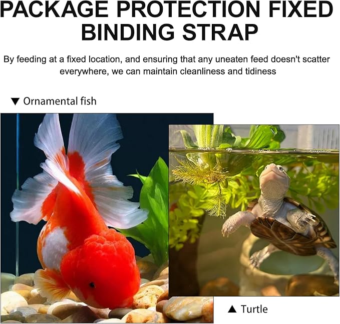 Fish Feeder,Breeder Box for Fish Tank,Breeder Box for Aquarium,Food Vacation Feeder,Feeding Tray with Suction Cup,for Round Aquariums, Hollow Floating-Sinking & Shrimp Food Holders