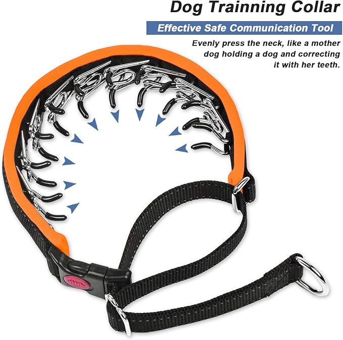 Heavy Duty Nylon No Pull Dog Collar with Buckle, Adjustable Anti Pull Reflective Slip Collar for Large Medium Small Dogs - M Orange