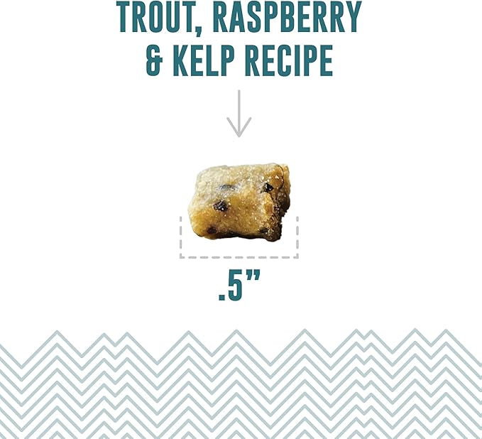 Icelandic+ Soft & Chewy Bites - Trout, Raspberry & Kelp - 1.8oz Cat Treats, 70% Meat & Fruit, Air-Dried, Limited Ingredients, Pet Snack, Grain Free