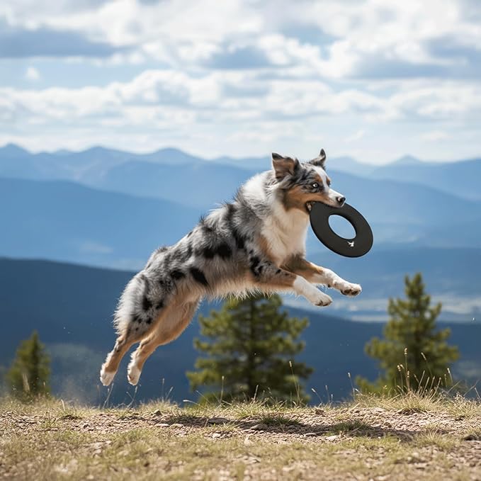 OllyDog Mini Super Flyer Dog Frisbee Toy, 9" – Durable, Lightweight & Water-Resistant Flying Disc – Soft on Teeth & Gums – Floats on Water – Outdoor Fetch Toy for Medium & Large Dogs (Raven)