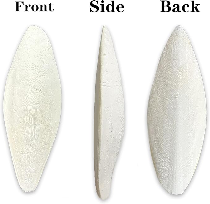 Bird Cuttlebone for Parakeets Cuttlebone for Birds - 103% Natural Cuttlefish Bone Bulk Chew Toy Bird Bites Calcium Stone for Canaries Tortoises,Snails,Reptiles,Parrots,Cockatiel