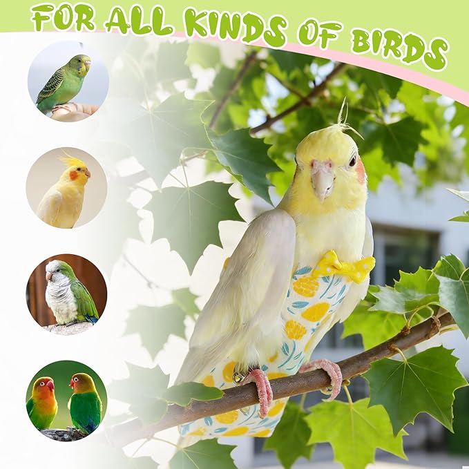 Bird Diaper Flight Suit, 3-Packs Lightweight Reusable Washable Elastic-Straps Parrot Clothes for Peony/Monk Parakeet, Prevents Poop Leaks & Feather Pecking (Bow+Lemon+Cherry, S)