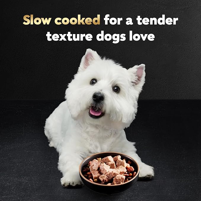 Cesar Loaf & Topper in Sauce Wet Dog Food, Rotisserie Chicken Flavor with Bacon & Cheese, Wet Food for Dogs, 3.5 oz Easy Peel Trays, 24 Count
