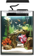 Glass Betta Aquarium Starter Kits 1.5 Gallon Small Fish Tank, Betta Fish Tank with LED Light, Power Filter, Black. 4mm Glass