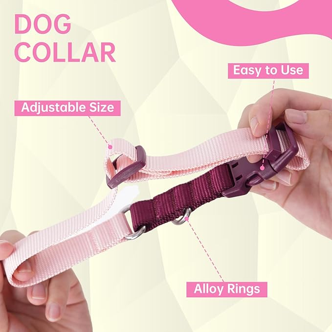 No Pull Dog Harness Leash and Collar Set, Soft Adjustable Dogs Vest Reflective and Comfortable Handle Pink Medium