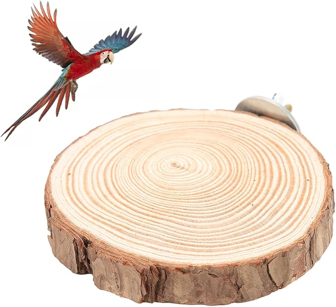 Round Wooden Springboard, Parrot Perches Stand Toy Bird Parrot Perch Bird Cage Accessories for Small Parakeets Cockatiels Hamster(10cm)