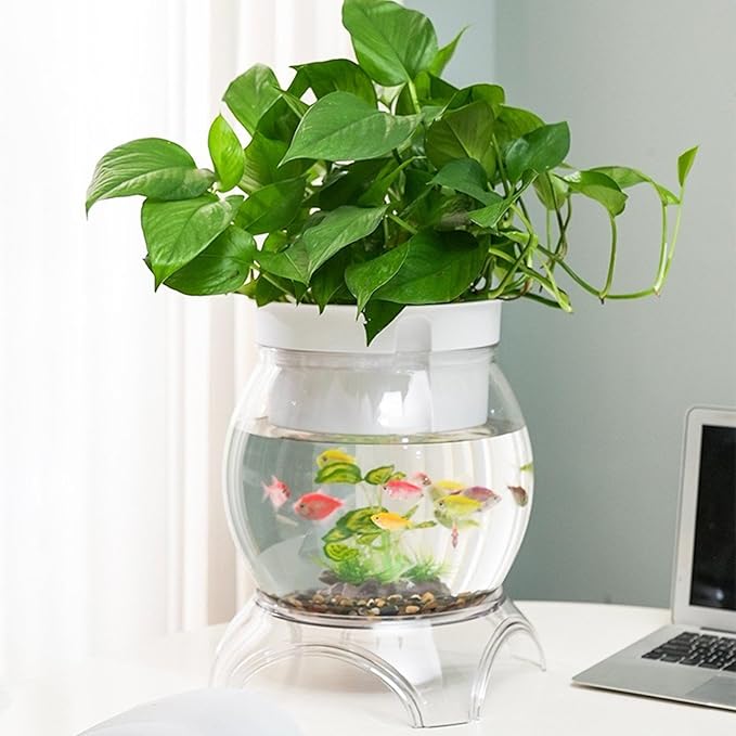 Desktop Fish Bowl Aquarium Hydroponic Planter Creative for Home Landscaping for Living Room with Stand Transparent 2 in 1, 23.5cmx31cm