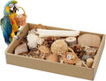 Bird Toys, Variety Natural Bird Foraging & Shredding Toys Boxes, Safe Parrot for Cockatiel ，Lovebird，Cockatoo，Macaw ，African Grey Parrot & Small Birds