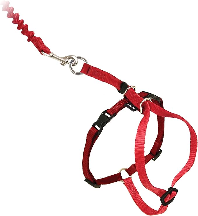 PetSafe Come With Me Kitty Cat Harness & Bungee Leash - Comfortable Cat Harness with Lightweight Bungee Leash for Outdoor Fun - More Secure Walks - Large - Red