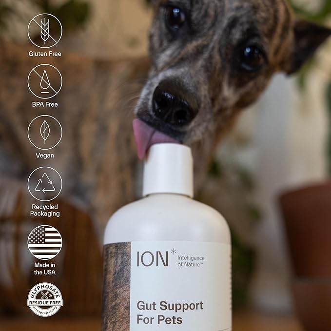 ION* Intelligence of Nature Gut Support for Pets - Liquid Probiotics Drops Alternative for Dogs & Cats, Digestive Health for Puppies, Skin & Hair Health - 8 fl oz (Pack of 1)