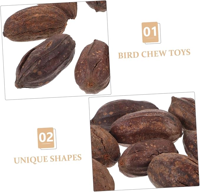 8pcs Natural Dried Fruit Bird Chewing for Parrot Budgie Parakeet Safe Foraging Accessories Healthy Chew for Pet Birds