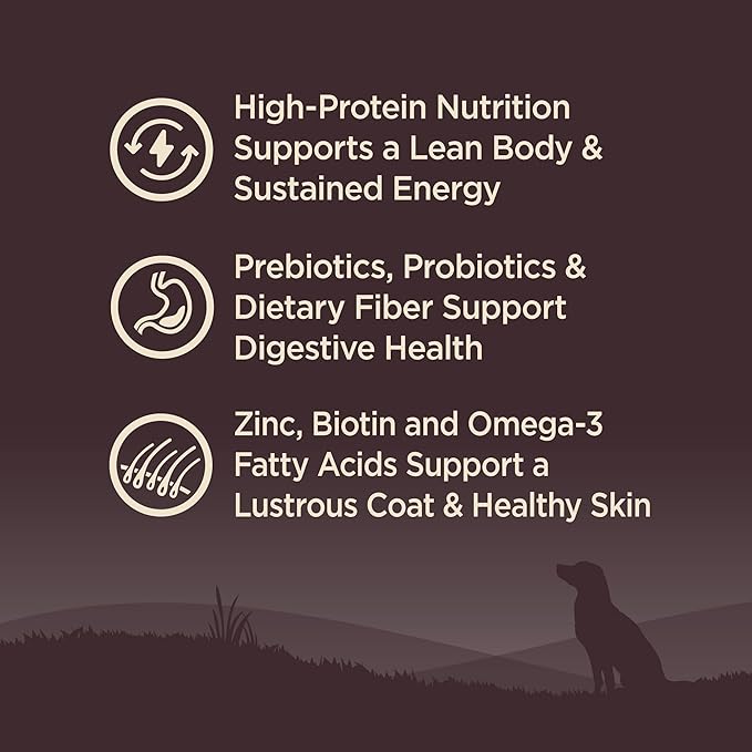 Wellness CORE Adult Dry Dog Food, Grain Free Kibble, Natural, High Protein, Turkey and Chicken Recipe, 12 lb Bag