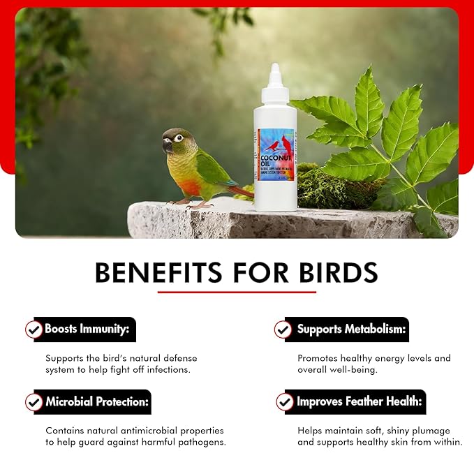 Morning Bird Coconut Oil for Birds 2 oz – Cold Pressed, Organic - Supports Immunity & Digestion – Boosts Energy & Feather Health – Easy to Mix – Safe for All Bird Life Stages
