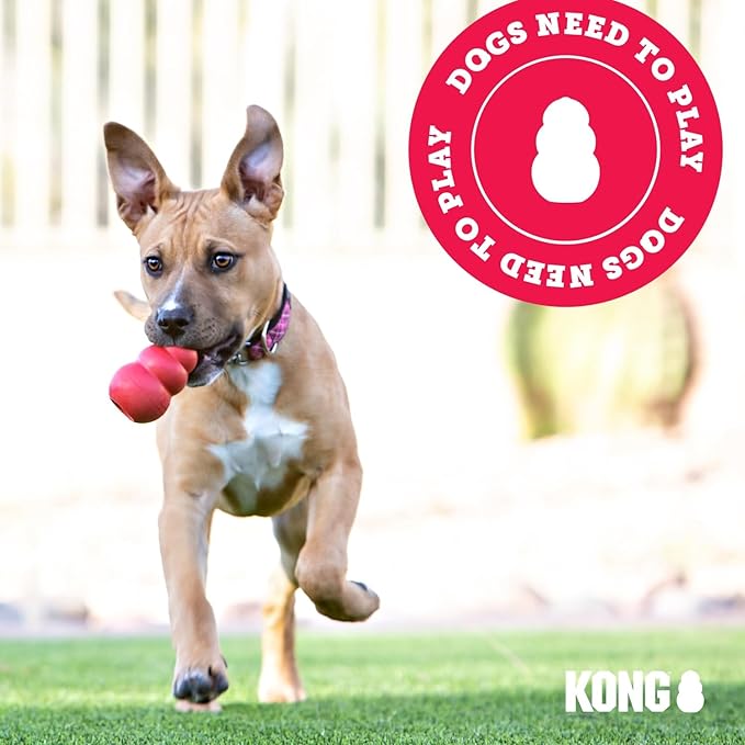 KONG - Ring X-Large