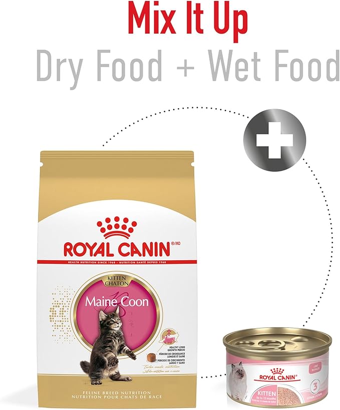 Royal Canin Feline Breed Nutrition Maine Coon Kitten Dry Cat Food, 3 lb Bag