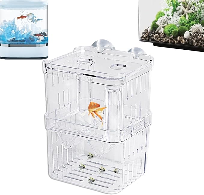 1/2 Fish Acclimation Box - Acrylic Hatchery Incubator Tank, Fish Breeder Box with 2 Suction Cups | Easily Install Breeding Isolation Box, Floating Breeding Box for Baby Fishes Shrimp Betta Guppy