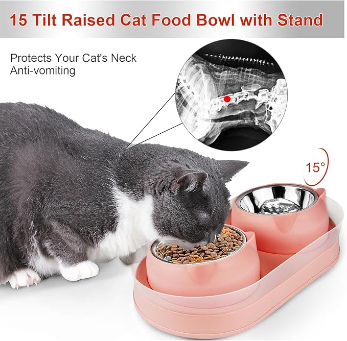 Elevated Cat Food Bowls, Raised Cat Bowl with Stand Stainless Steel, Tilted Bowls Anti Vomiting, Double Cats Food and Water Bowl Set for Cats (Pink)