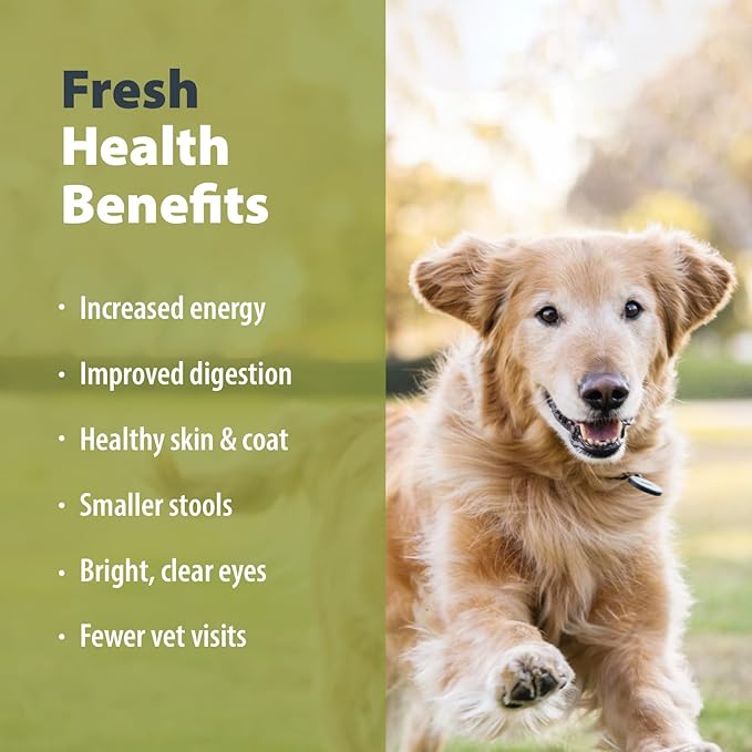 JustFoodForDogs Pantry Fresh Wet Dog Food, Complete Meal or Dog Food Topper, Beef & Russet Potato Human Grade Dog Food Recipe - 12.5 oz (Pack of 6)
