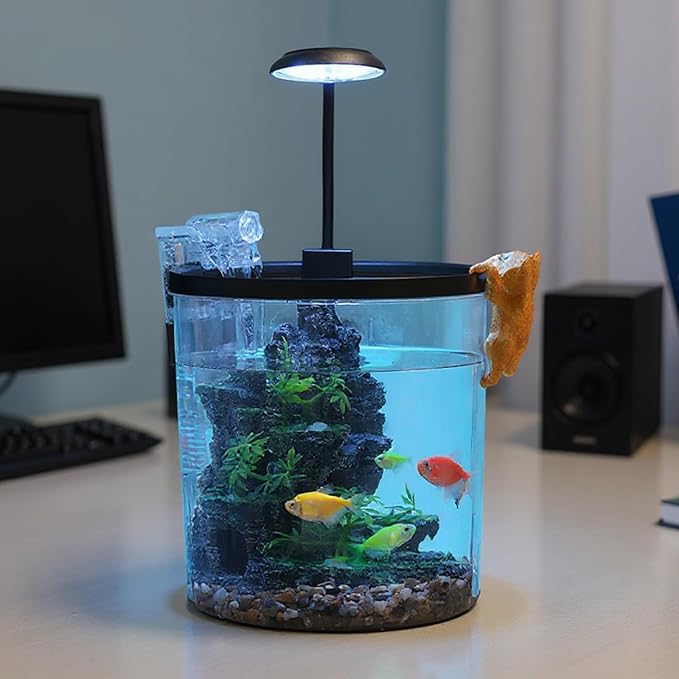 GarveeLife Small Fish Tank, Betta Fish Tank kit with LED Light, Oxygen Generator, Fish Tank Starter Kits for Beta,Goldfish (Black, 1.5 Gallon)