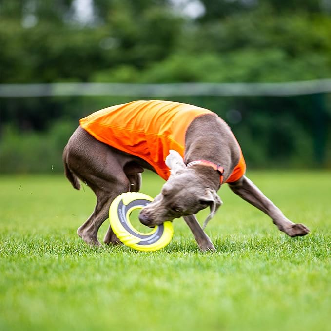 SKIPDAWG Interactive Tug Toy, Flying Disc Water Toy Non-Toxic Light TPR/Nylon Fabric, Pet Training and Outdoor Exercise Toys for Dogs, Diameter 9 Inches