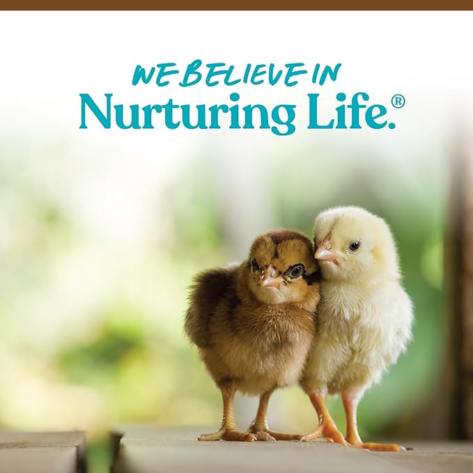 Manna Pro Chick Starter Feed, Non-Medicated Chicken Feed with Vitamins & Minerals, Complete Nutrition for Baby Chicks, 5 lb Bag