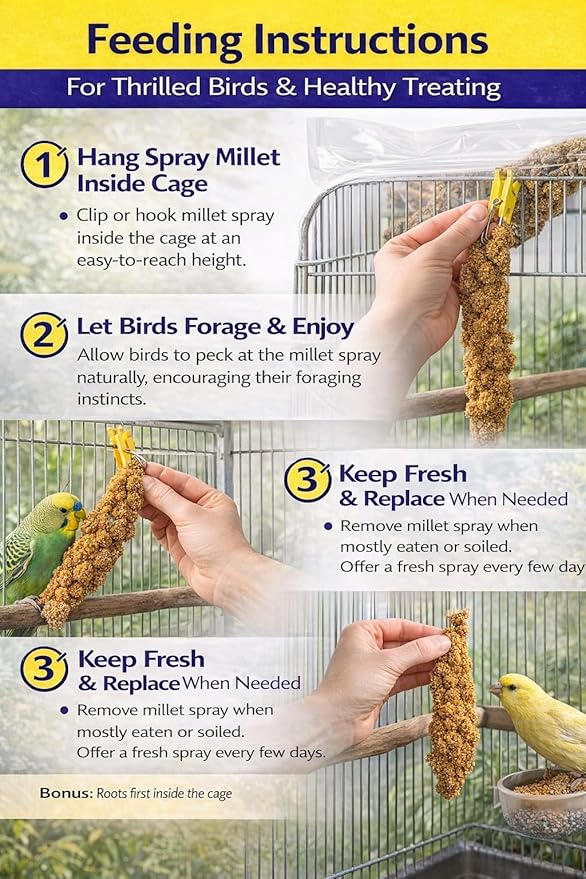 Farm to Feathers™ Bird Millet & Cuttlebone Bundle – USA Grown Millet Sprays for Parakeets, Budgies, Cockatiels, Finches & Canaries – 1 lb Tips and Tails Millet + 4” Cuttlebone (4 Pack)