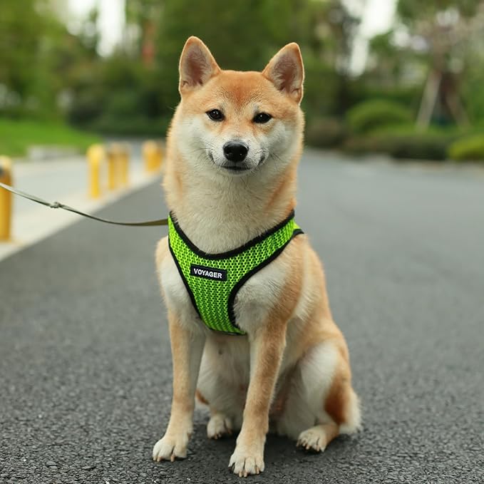 Best Pet Supplies Voyager Step-in Air Harness - All Weather Mesh, Reflective, No Pull Harness for Dogs, Cats - Secure with Hook & Loop Fastener, Buckle, Double D-Rings - Lime Green 2-Tone, XL