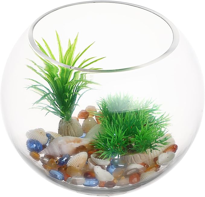 HOMSFOU Glass Fish Bowl Bubble Goldfish Bowl Round Glass Jar Terrarium Globe Flower Vase Hydroponic Planter Fish Tank Candy Jar Wishes Bottle for Micro Landscape 20cm