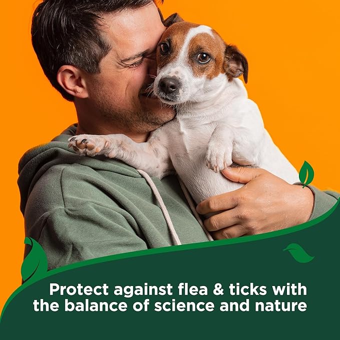Vet's Best Natural Flea & Tick Dog Shampoo – Plant-Based Formula with Cotton Spice Scent – Natural Dog Shampoo with Essential Oils for Flea and Tick Support – Made in USA – 12 oz Bottle