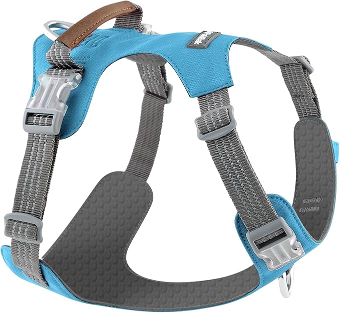 No Pull Dog Harness – Adjustable Reflective Nylon Vest for Small Medium Large Dogs, Escape Proof Training Harness with Leather Control Handle, Lightweight Aluminum Hardware (Cyan, S)