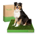 DoggieLawn Real Grass Puppy Pee Pads- 24 x 20 Inches - Perfect Indoor Litter Box for Dogs - No Mess, Easy-to-Use - Potty Training for Pets - Eco-Friendly Disposable Bathroom with Real Living Grass