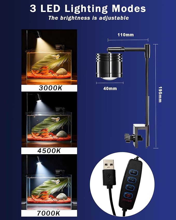 Fish Tank, 3 Gallon Ultra-Clear Glass Fish Aquarium, with Separator Plate for Betta, Fish Tank Starter kit with Filter and Adjustable Led Light, White