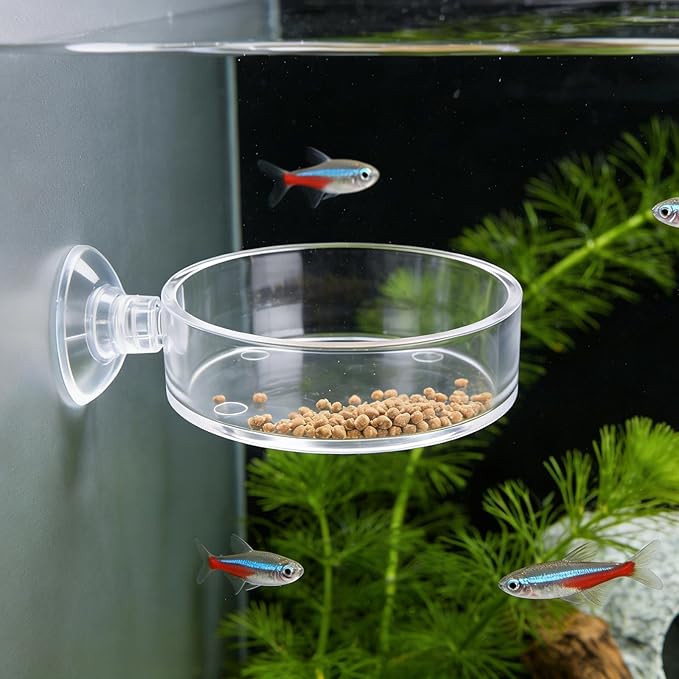 Fish Tank Feeder Dish with Suction Cup, Transparent Acrylic Aquarium Shrimp Feeder Dish with Suction Cup for Shrimp Fish and Aquatic Pets Aquarium Tanks Feeding