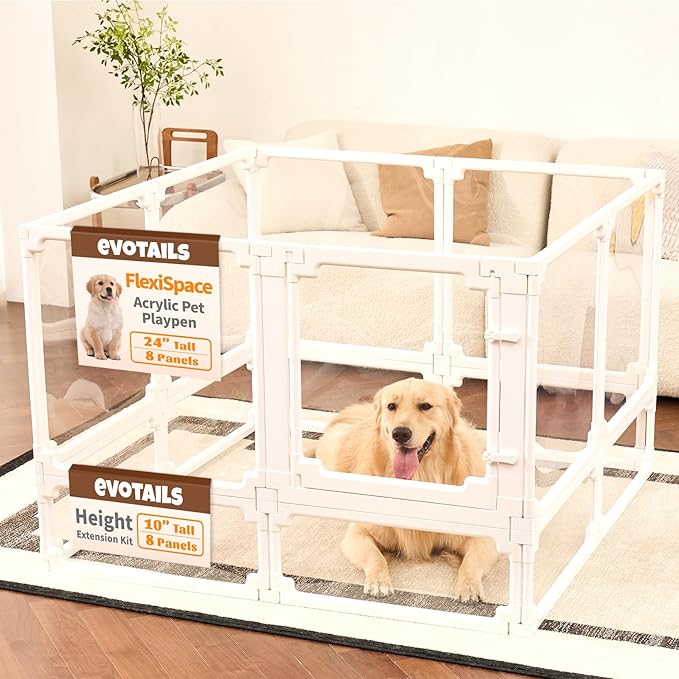 FlexiSpace 10" Height Extension Customizable Height & Space Clear Acrylic Dog playpen Indoor, The ONLY Play Pen That Grows with Your Pets (White, 10" Height Extension, 8 Panels)