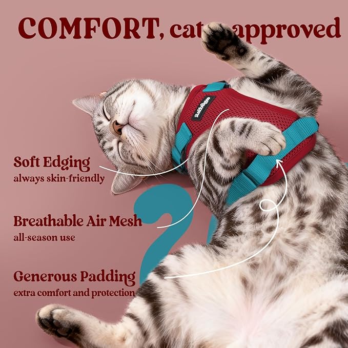 rabbitgoo Cat Harness and Leash for Walking, Escape Proof Soft Adjustable Vest Harnesses for Cats, Easy Control Breathable Reflective Strips Jacket, Red & Teal, XS