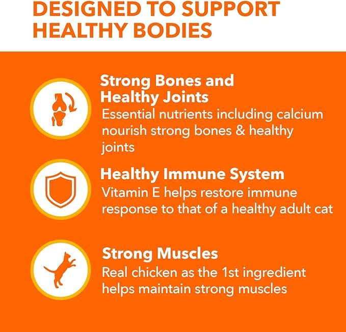 IAMS Proactive Health Senior Dry Cat Food, Cat Food Dry Chicken Recipe, Real Chicken in Every Bite, 3.5 Lb. Bag