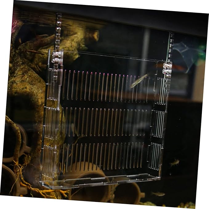 ERINGOGO Hanging Isolation Box for Guppy Breeding Acrylic Fish Tank Hatchery Easy Installation Hook Observation Design for Betta and Mini Parrot Fish