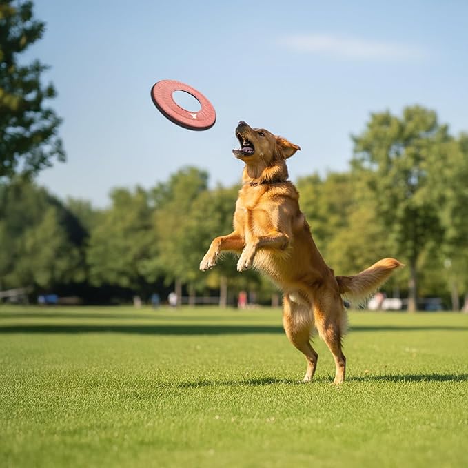 OllyDog Super Flyer Dog Frisbee Toy, 11" – Durable, Lightweight & Water-Resistant Flying Disc – Soft on Teeth & Gums – Floats on Water – Outdoor Fetch Toy for Medium & Large Dogs (Desert)