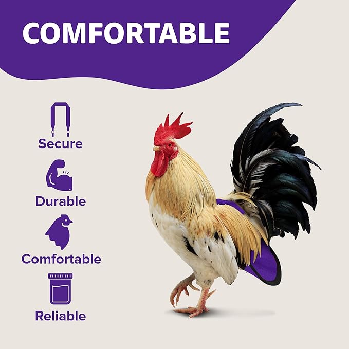 Hen Holster, Wrap-Around Chicken Diapers, Comfy Chicken Diapers for Hens & Roosters, US-Made Chicken Diaper, Must-Have Chicken Accessories, with Sewn-in Liner, XL, Purple - Crazy K Farm