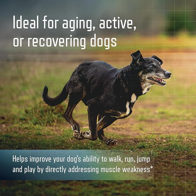 Virbac URSOLYX™ Soft Chews for Dogs | Muscle Health Support for Senior, Active or Recovering Dogs, Medium 30-60lbs | 60 Count 2- Month Supply