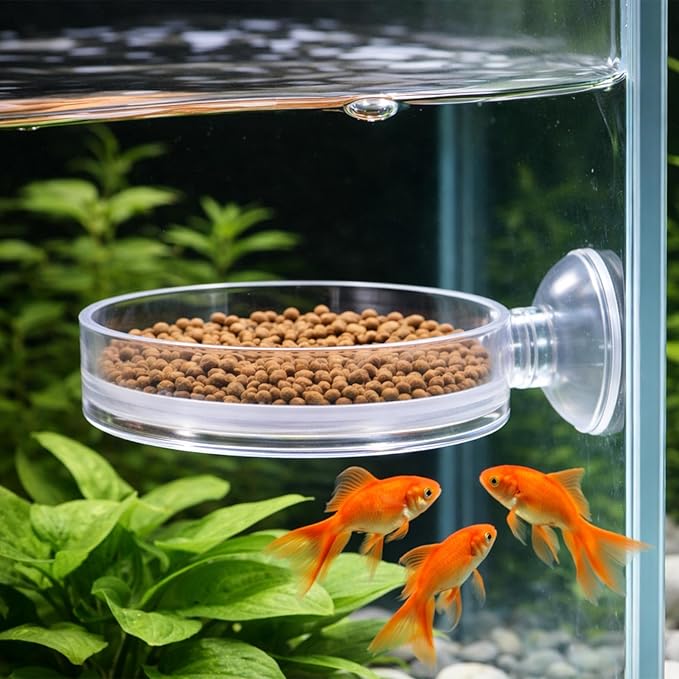 Fish Tank Feeder Dish with Suction Cup, Transparent Acrylic Aquarium Shrimp Feeder Dish with Suction Cup for Shrimp Fish and Aquatic Pets Aquarium Tanks Feeding
