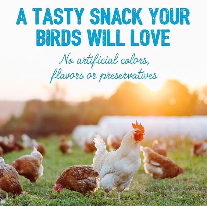 Chicken Treats - Premium Poultry Treats, High Energy and Protein, All Natural Chicken Feed Chatter - 6 lb Bag