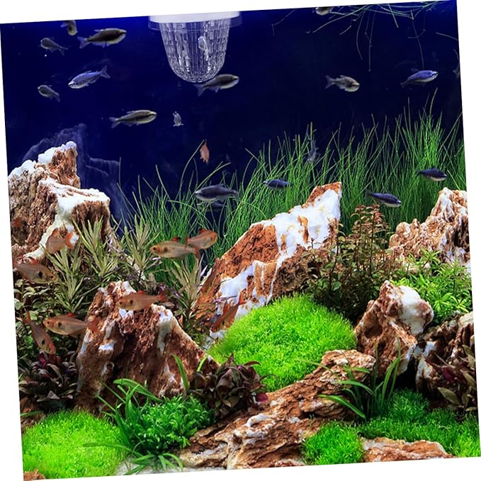 Toyvian 2pcs Aquarium Breeding Box Floating Incubator for Fish Tank Transparent Isolation Box for Guppies Easy Installation High-Efficiency Isolation Safe Environment for Fry and Mother