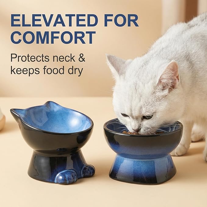 Nihow Elevated Cat/Dog Bowls Set : 6.2 Inch Ceramic Raised Cat Food & Water Bowl Set for Protecting Pet's Spine - Feeding & Watering Supplies for Cat/Small Size Dog - Elegant Blue & Black (2 PC)